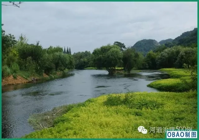 希望綠意盎然的花溪河能再現(xiàn)