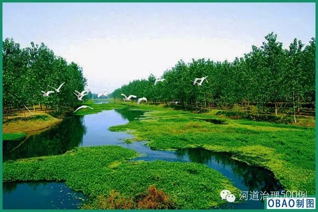 鳥躍人景美，河清綠波藍(lán)