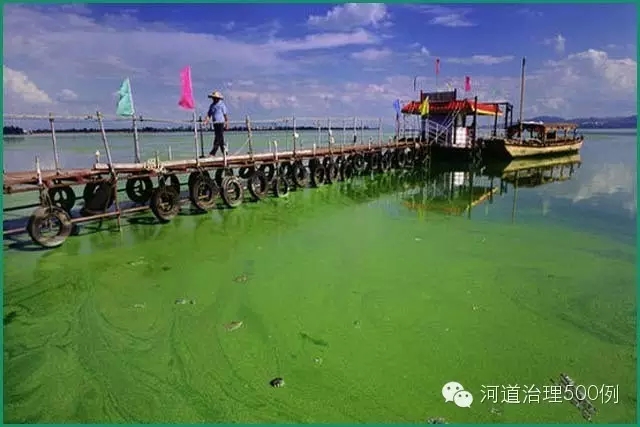 滇池的水華現(xiàn)象