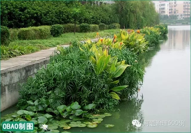 浮田型生態浮島構建沿河植物景觀凈水帶