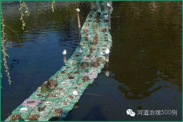 云南某河中的吹塑浮島，兩年后的處境