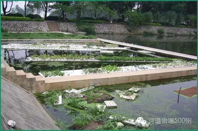 生態浮島選擇不當，一段時間后變成一堆垃圾