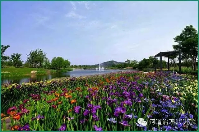 一地一策，合理選擇 重在當地，巧補點綴