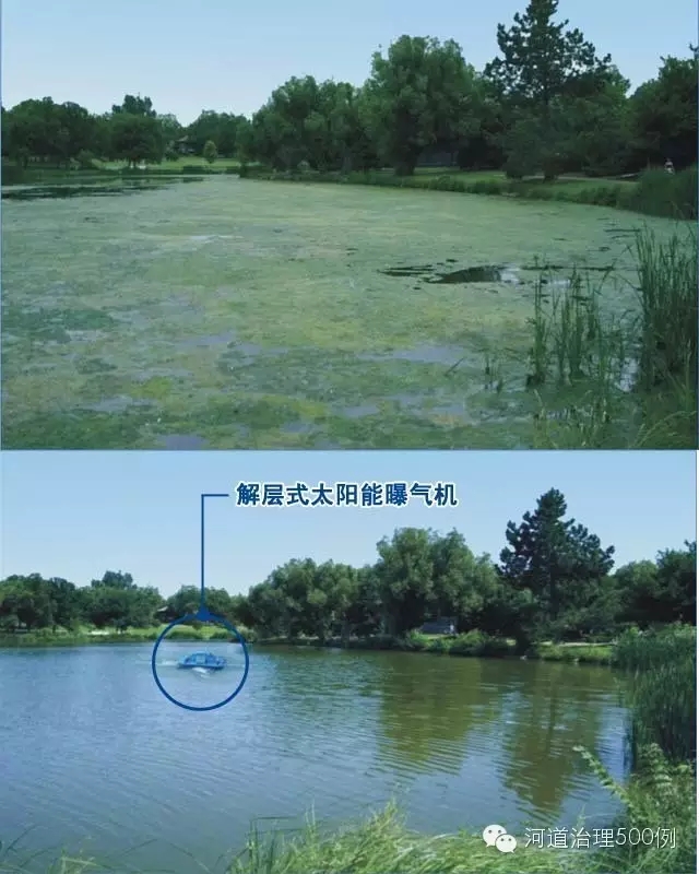 微生物菌劑結合解層太陽能曝氣機