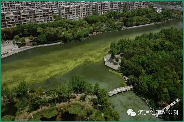 最近，隨著氣溫逐漸升高，各地藍藻現象頻繁