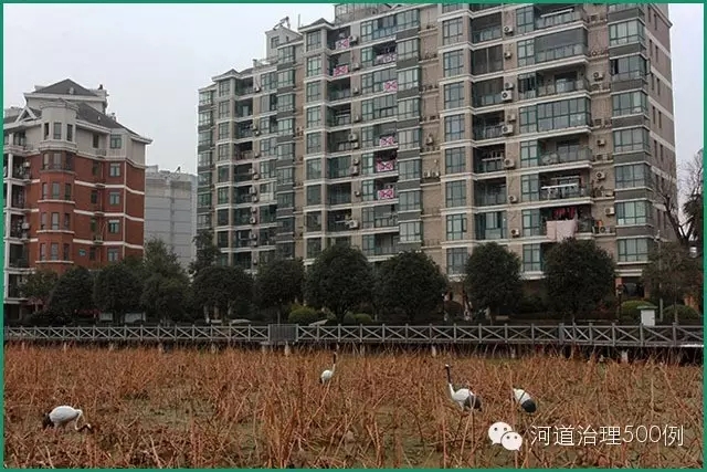 武漢沙湖，夢湖水岸小區