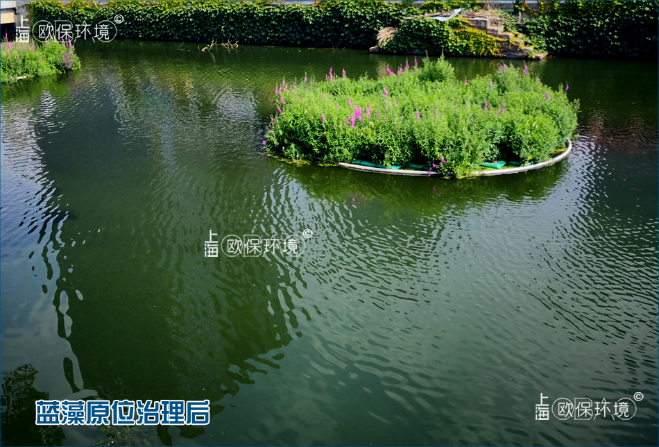 藍(lán)藻水華清除機(jī)