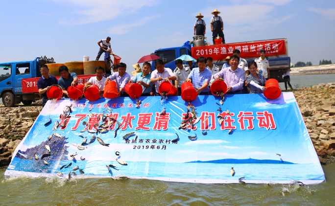 400萬尾鰱魚放入巢湖“吃”藍(lán)藻，治藻的對策應(yīng)該是除藻抑藻