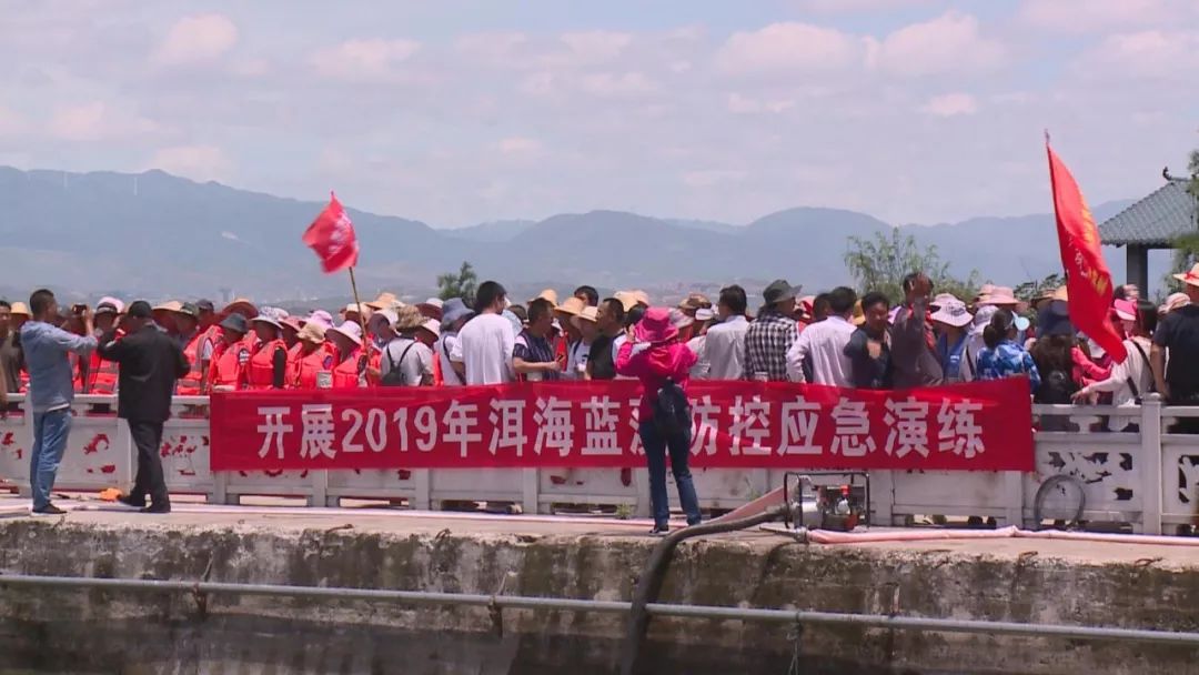 洱海藍(lán)藻大爆發(fā)？打撈隊員集體大出動除藻！