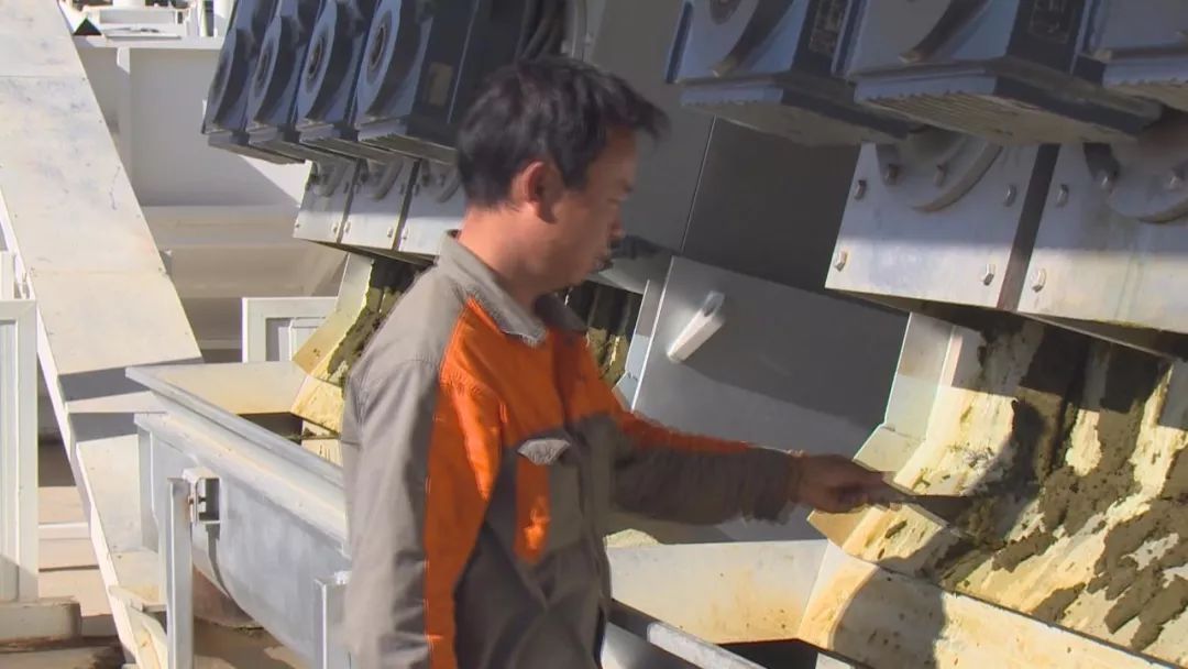洱海藍(lán)藻大爆發(fā)？打撈隊員集體大出動除藻！