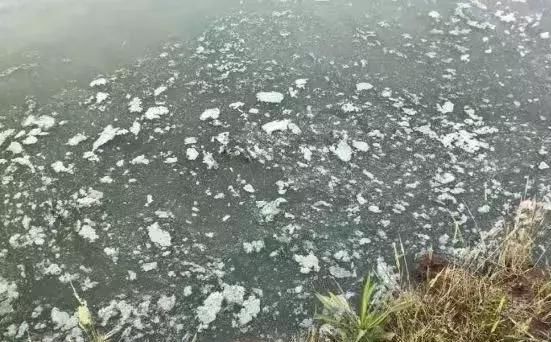 藍(lán)藻殺完就行了？不，藍(lán)藻死后才最難搞