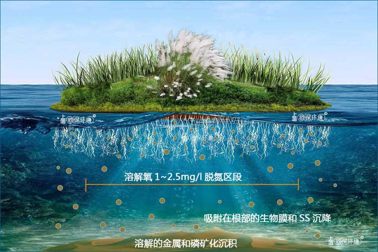 浮田型生態(tài)浮島凈水機(jī)理