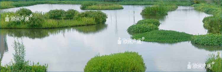 浮田型生態(tài)浮島做成各種造型安裝在湖泊中提升湖泊景觀