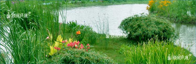 浮田型生態(tài)浮島植物全覆蓋，植物錯(cuò)落更具景觀性