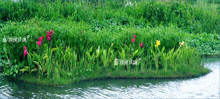 浮田型生態(tài)浮島用于水上綠化，凈水+綠化雙重功能