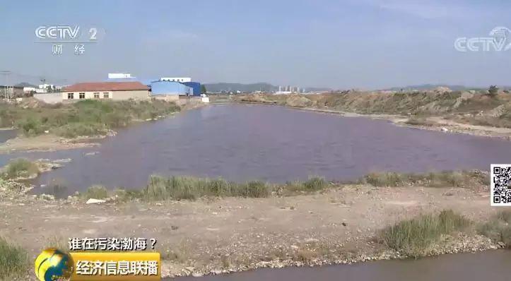 31 入海河流黑臭變紅水質多項指數超標