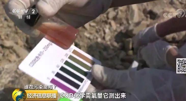 35 入海河流黑臭變紅水質多項指數超標