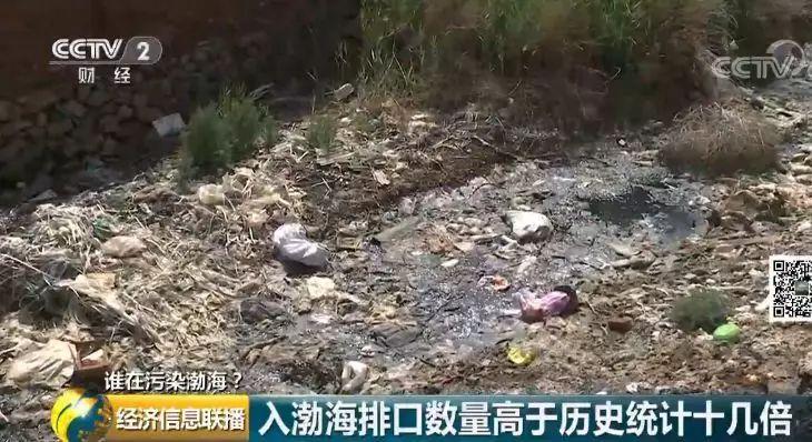 36 入海河流黑臭變紅水質多項指數超標