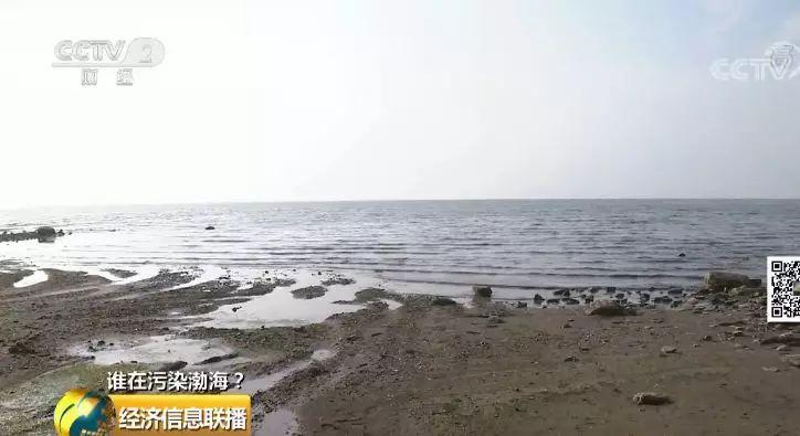 13 渤海污染依然突出嚴控污染源是關鍵