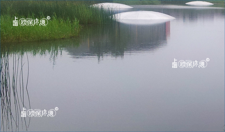 豎向紊流曝氣機(jī)應(yīng)用于生態(tài)塘、景觀滯留塘