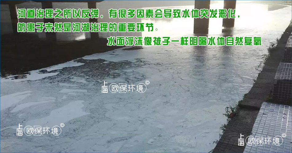 泡沫覆蓋水面，對水體產(chǎn)生嚴重影響，不光使水面復氧隔斷，同時還影響水面觀感