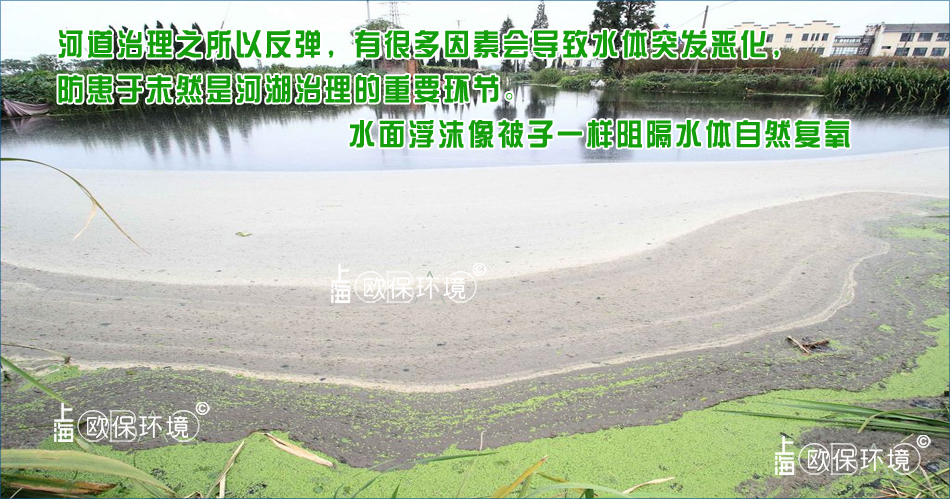 浮沫覆蓋水面，會阻斷空氣與水面接觸，影響水體自然復氧