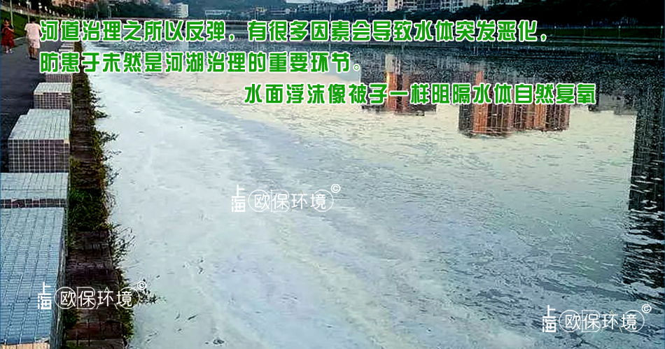 泡沫覆蓋水面，對水體產(chǎn)生嚴重影響，不光使水面復氧隔斷，同時還影響水面觀感