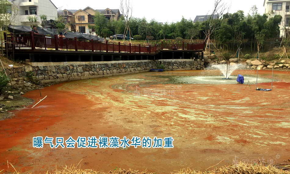 不當(dāng)?shù)钠貧庵粫?huì)促進(jìn)裸藻水華的加重