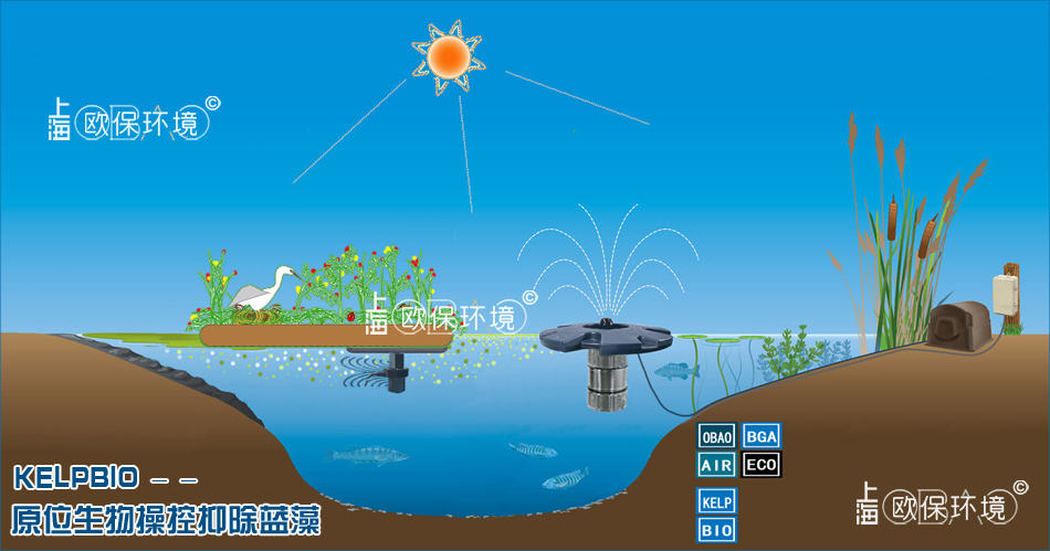 歐保KELPBIO生物操控抑除藍藻技術(shù)原理
