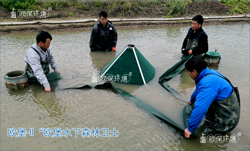 歐堡-II“歐堡水下森林衛(wèi)士”，適合坑塘凈化，提高水體透明度,另外具有良好的脫氮除磷效果，對(duì)于采用“水下森林”的凈水方式，是一道很好的安全防護(hù)線。
