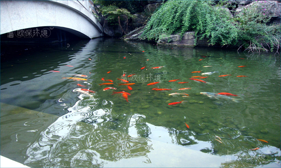 污水廠出水提標改造——生物強化脫氮，將一級A排水提高至地表IV標準，助力污水廠出水提標改造