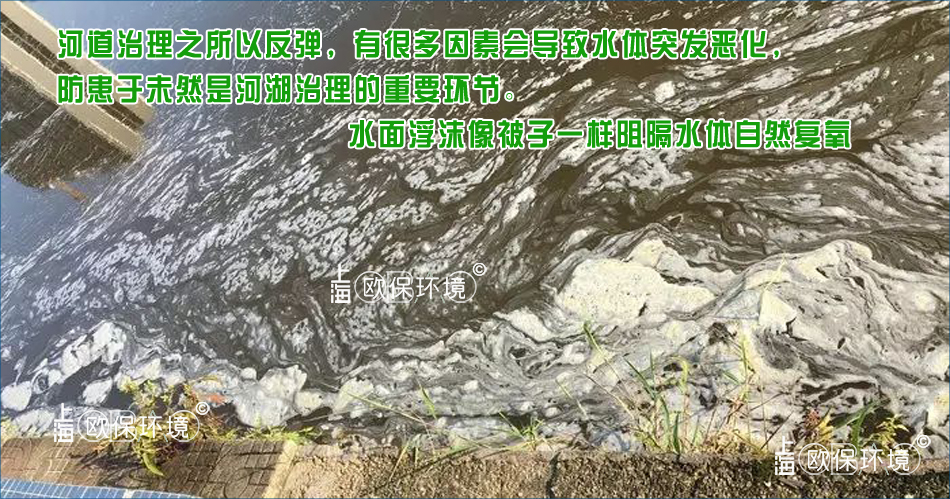 嚴重的浮沫直接導致水體發(fā)臭，影響水生動物的生長