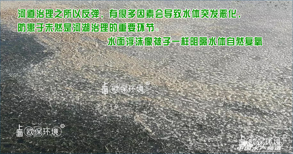 隨著水溫升高，泡沫覆蓋，溶解氧不足，水體發(fā)生厭氧，水質惡化