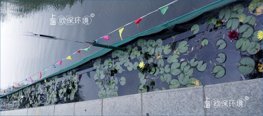 KELPBIO漂浮生物柵凈水技術(shù)是“水下森林”的安全防護(hù)墻