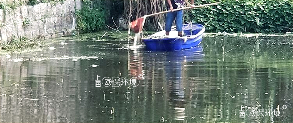 漂浮的浮泥、藻團(tuán)、浮灰人工打撈基本無效