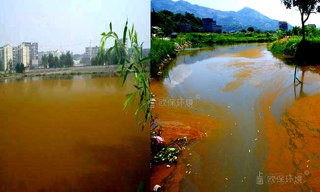 裸藻門(mén)通常大量的生存在平靜的內(nèi)陸水體，在池塘、水溝的表面形成綠色或者紅色的水華