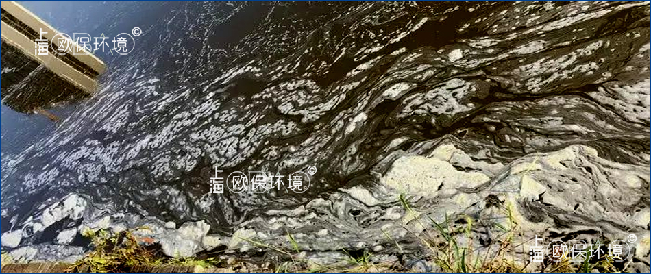 水面落葉漂浮垃圾清理機(jī) 收集成團(tuán)成塊的垃圾