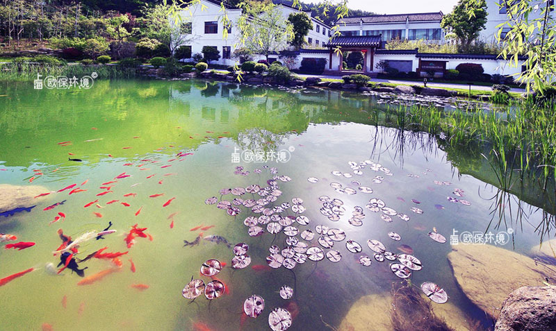 潛水生態(tài)凈化墻（浸沒式生物反應墻）實物照片