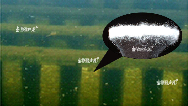 浸沒式反應墻（浸沒式生物反應墻）細部放大圖
