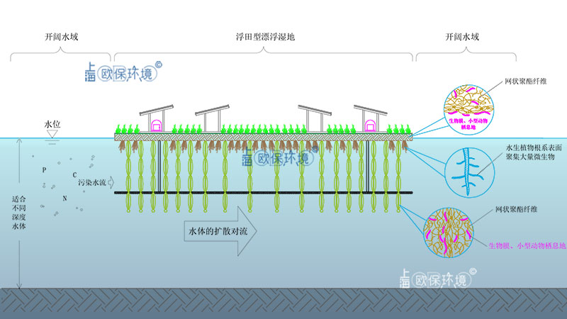 太陽能浮田型凈水平臺(tái)（太陽能曝氣生物浮島）凈水原理