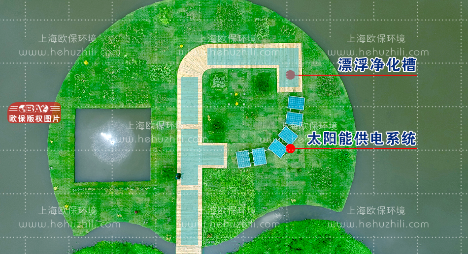 浮動濕地