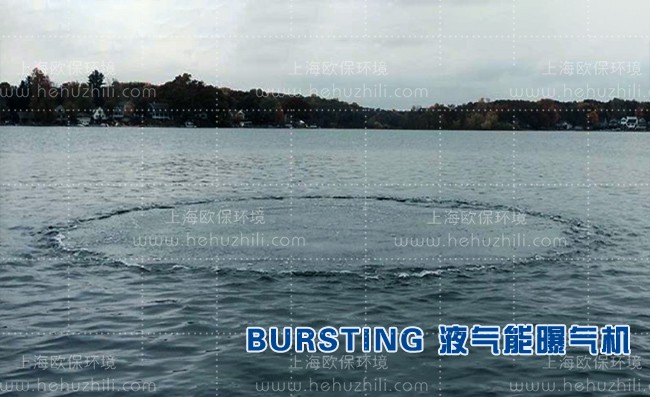 液氣能曝氣機在河道治理藍藻中大放異彩