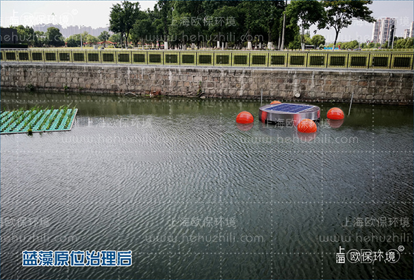 安裝光觸媒藍藻消除機一周后，水色自然，無藍藻聚集