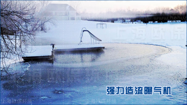 沉水造流曝氣機具有較強適應性，耐嚴寒，抗冰凍