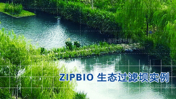 生態(tài)過(guò)濾壩