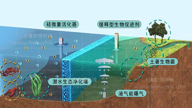 柔性立體生態(tài)護(hù)岸、潛水生態(tài)凈化墻