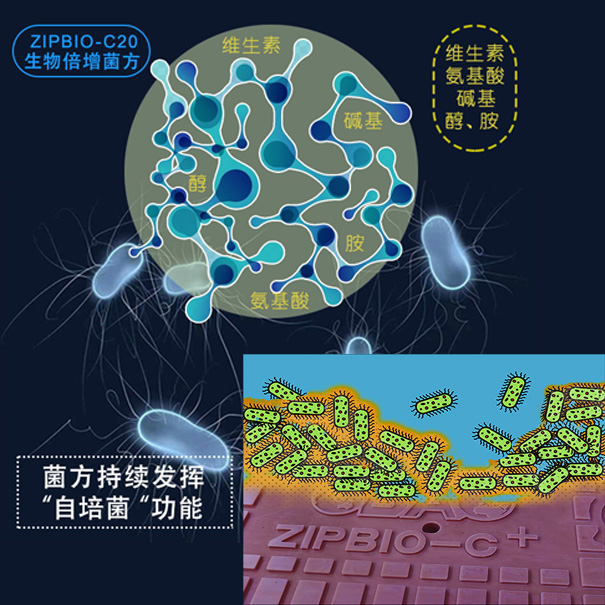 藍(lán)藻治理-投加微生物