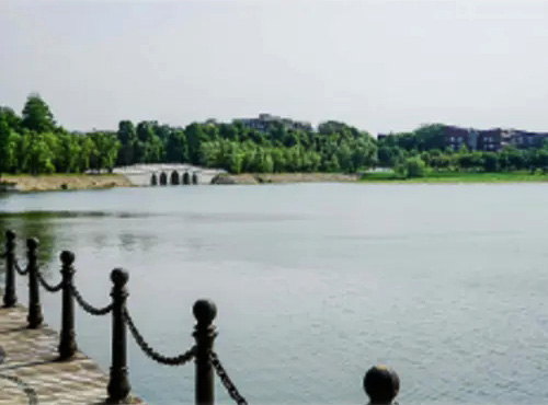 水質提升-武漢東湖天鵝湖景區(qū)