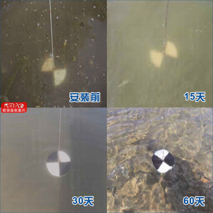 簇團型生境填料安裝60天后，水體清澈，水質明顯改善