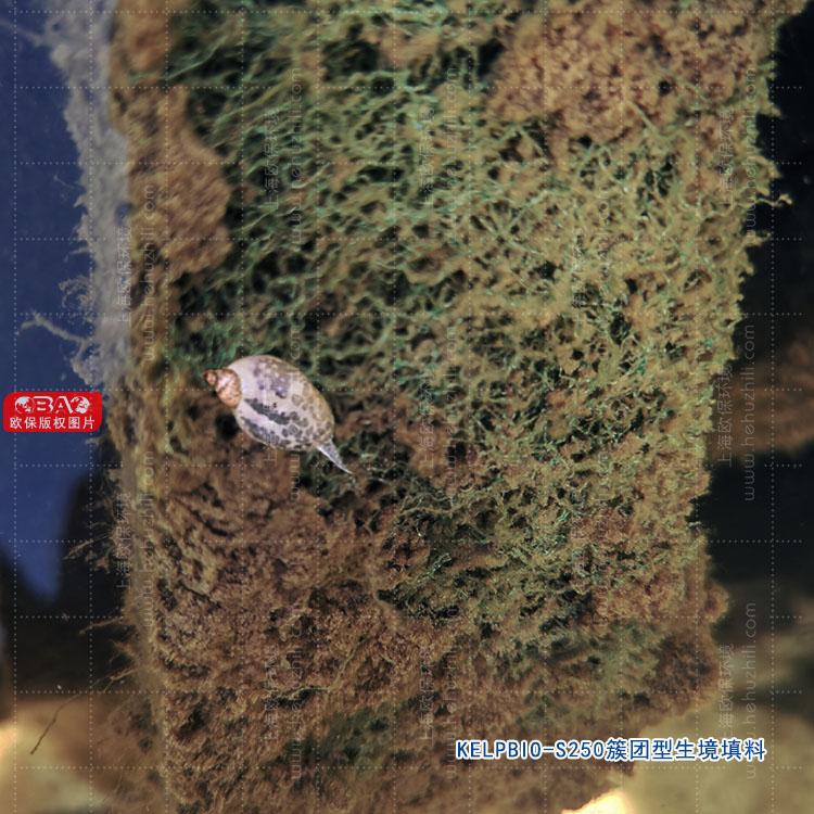 湖泊治理新利器：簇團型生境填料